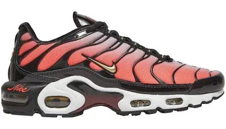 Air max Plus TN, Sister Hoods